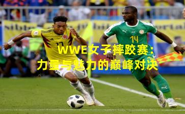 WWE女子摔跤赛：力量与魅力的巅峰对决