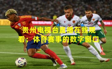 贵州电视台直播在线观看：体育赛事的数字窗口